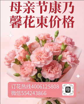 肇庆怀集县花店母亲节康乃馨花束